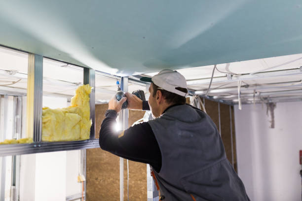 Best Commercial Insulation in Pinehurst, ID